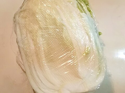 切った白菜の冷蔵保存